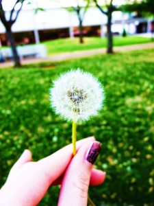 Spring