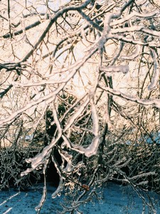 Winter of the Soul