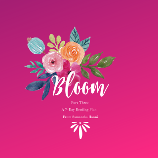 Bloom, Part Three